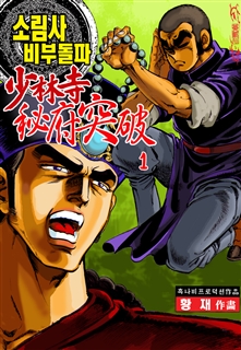 소림사 비부돌파